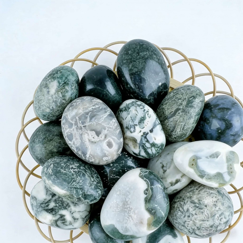 Natural Moss Agate Crushed Sto - Echeveria Succulent review and price