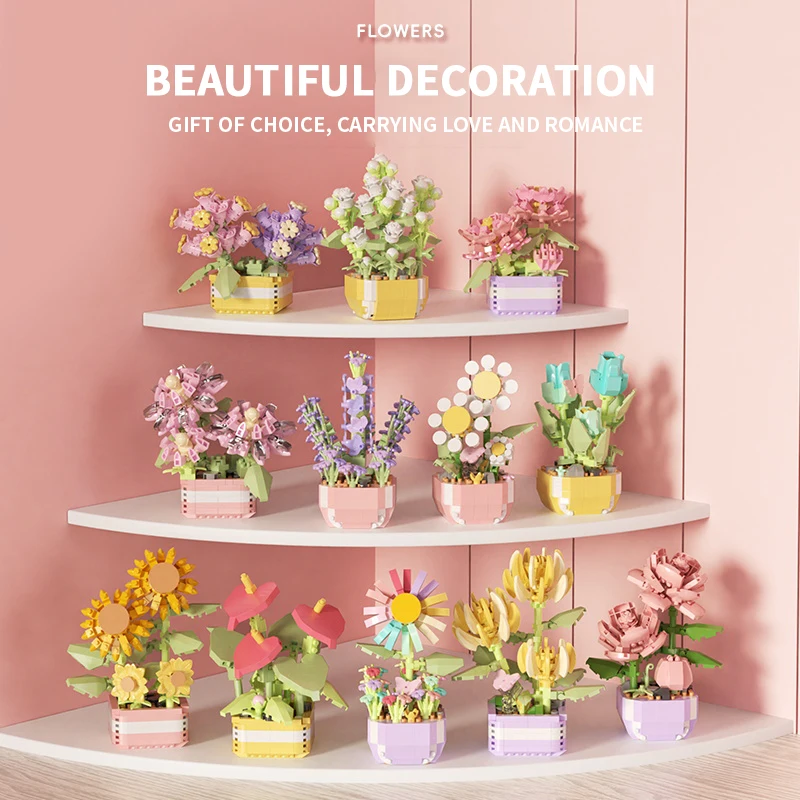 Flower Succulents Building Blo - Echeveria Succulent review and price