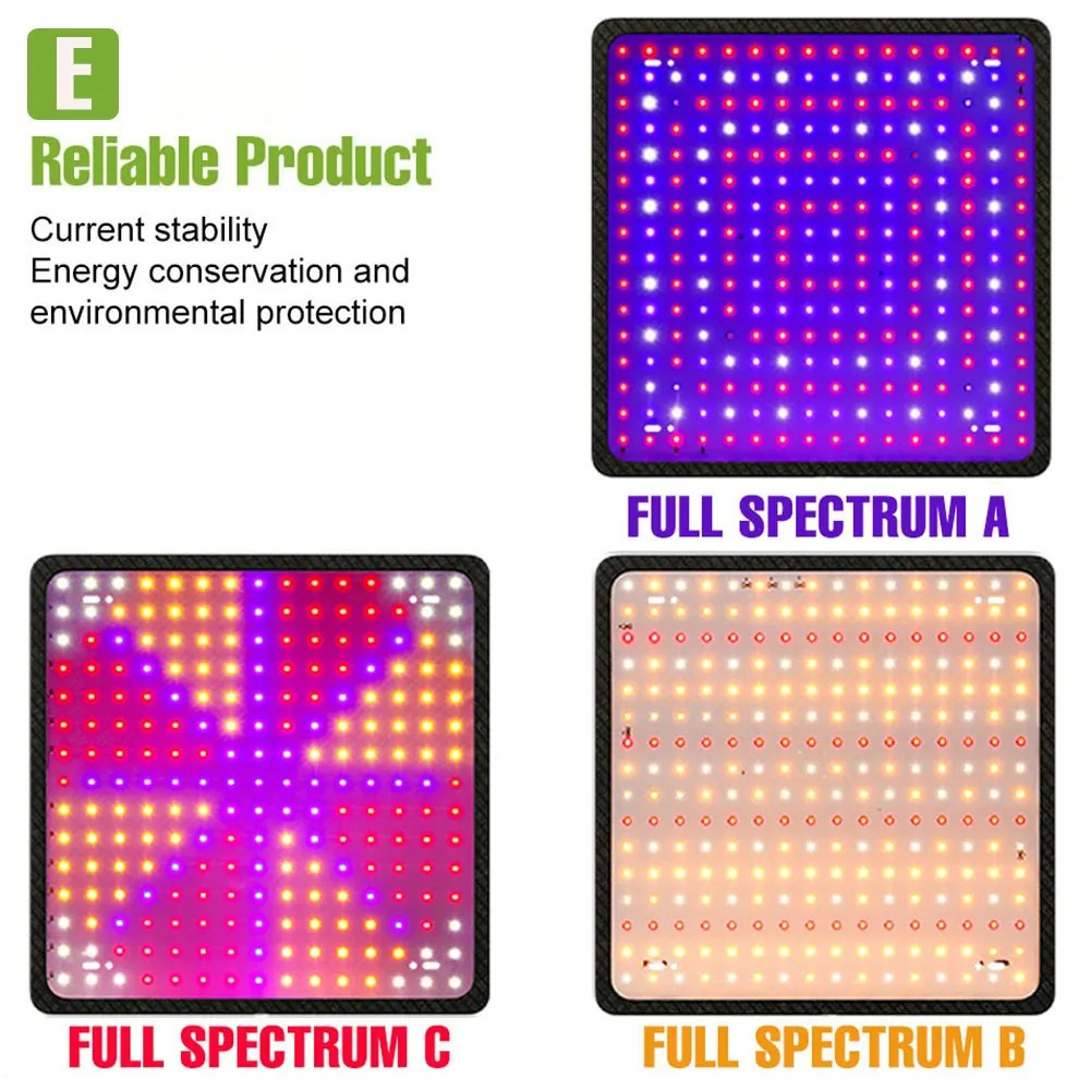 400W LED Grow Light Full Spect - Echeveria Succulent review and price