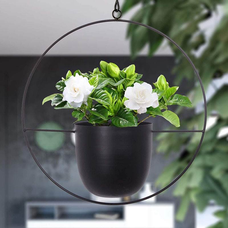 Hanging Iron Art Plant Pots Ba - Spider Plant Hanging review and price