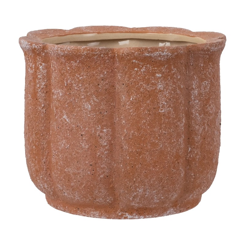 8in Terracotta Flower Planter  - Aloe Vera Pot review and price