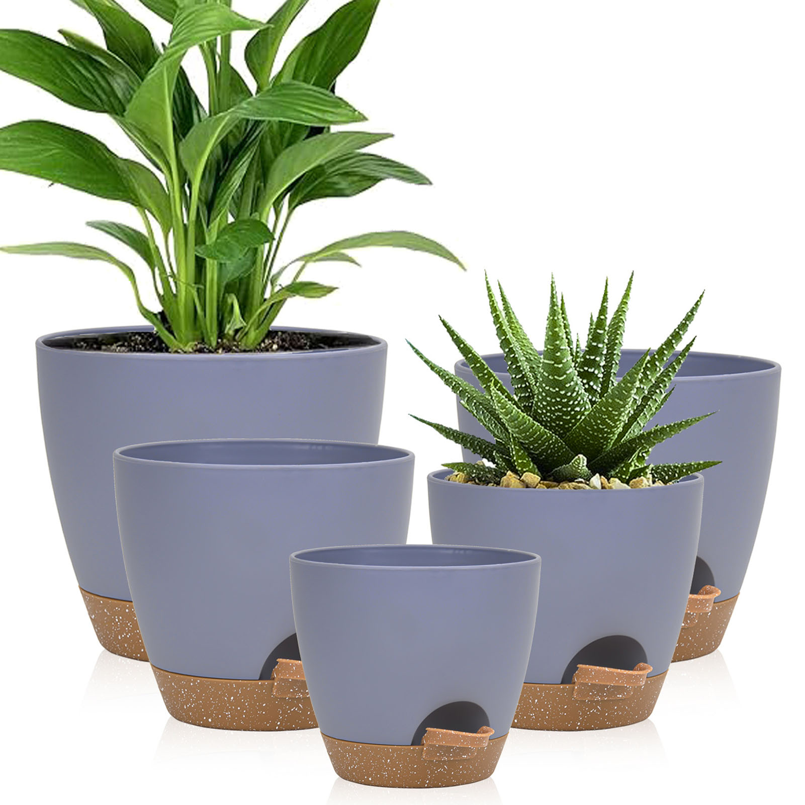5piece Indoor Flower Pots With - Aloe Vera Pot review and price