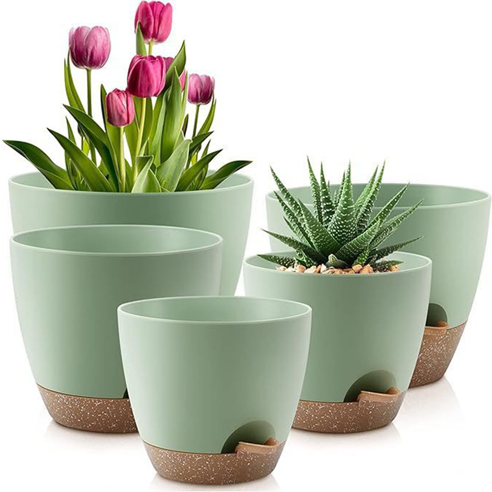 5piece Indoor Flower Pots With - Aloe Vera Pot review and price