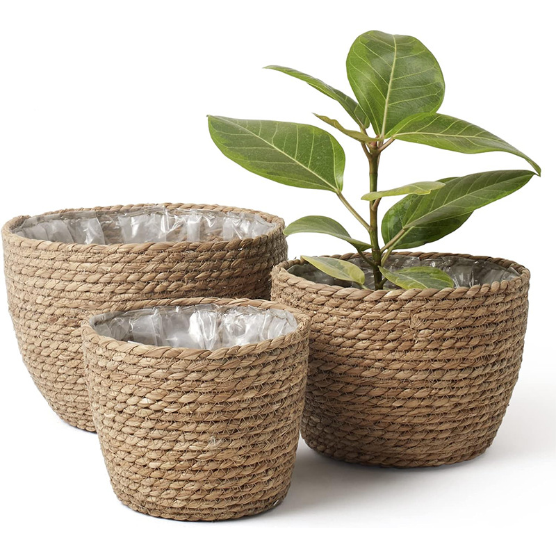 Natural Woven Flower Basket St - Aloe Vera Pot review and price