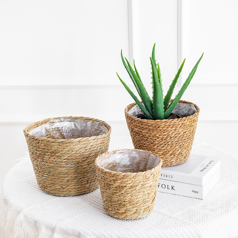 Natural Woven Flower Basket St - Aloe Vera Pot review and price