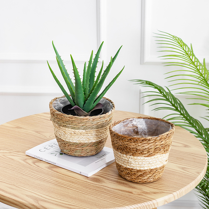 Natural Woven Flower Basket St - Aloe Vera Pot review and price