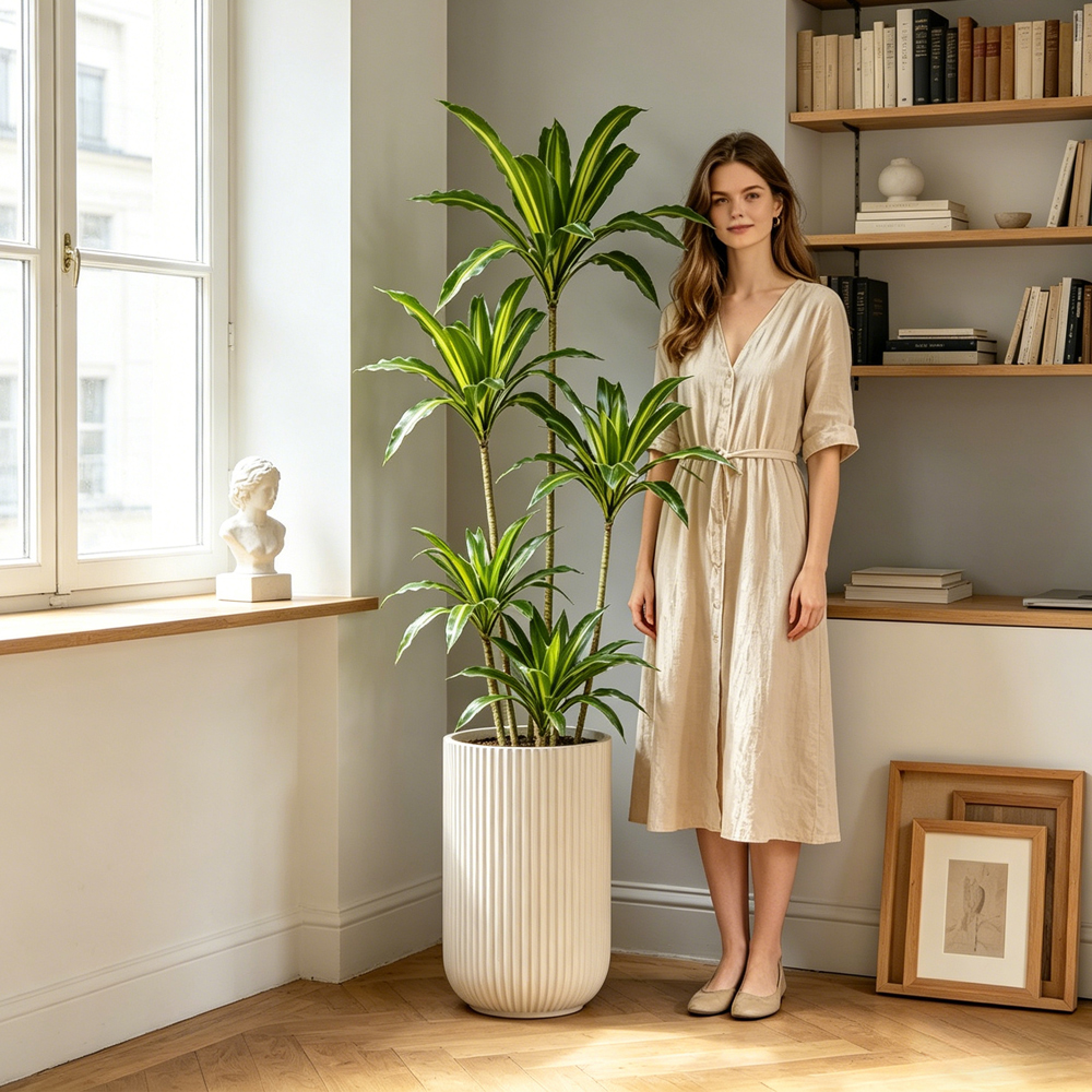80-165cm Large Artifcial Draca - Dracaena Marginata review and price
