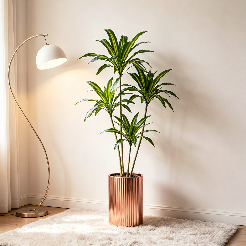 80-165cm Large Artifcial Draca - Dracaena Marginata review and price