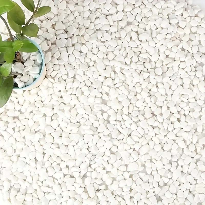 White Pebbles Decorative Stone - Echeveria Succulent review and price