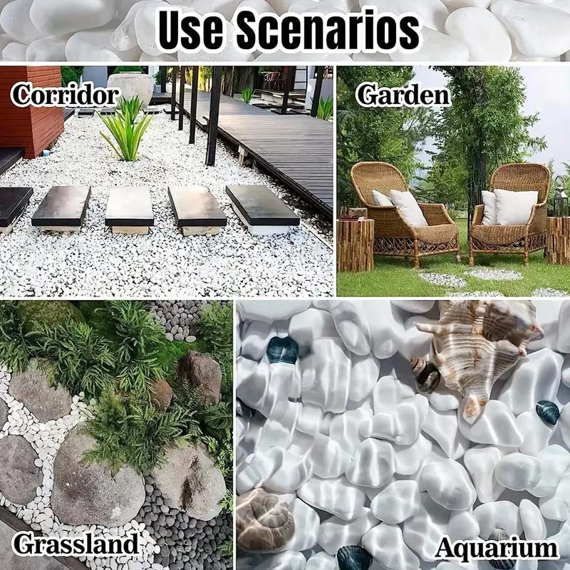 White Pebbles Decorative Stone - Echeveria Succulent review and price