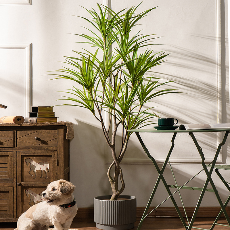 90-180cm Large Artificial Tree - Dracaena Marginata review and price