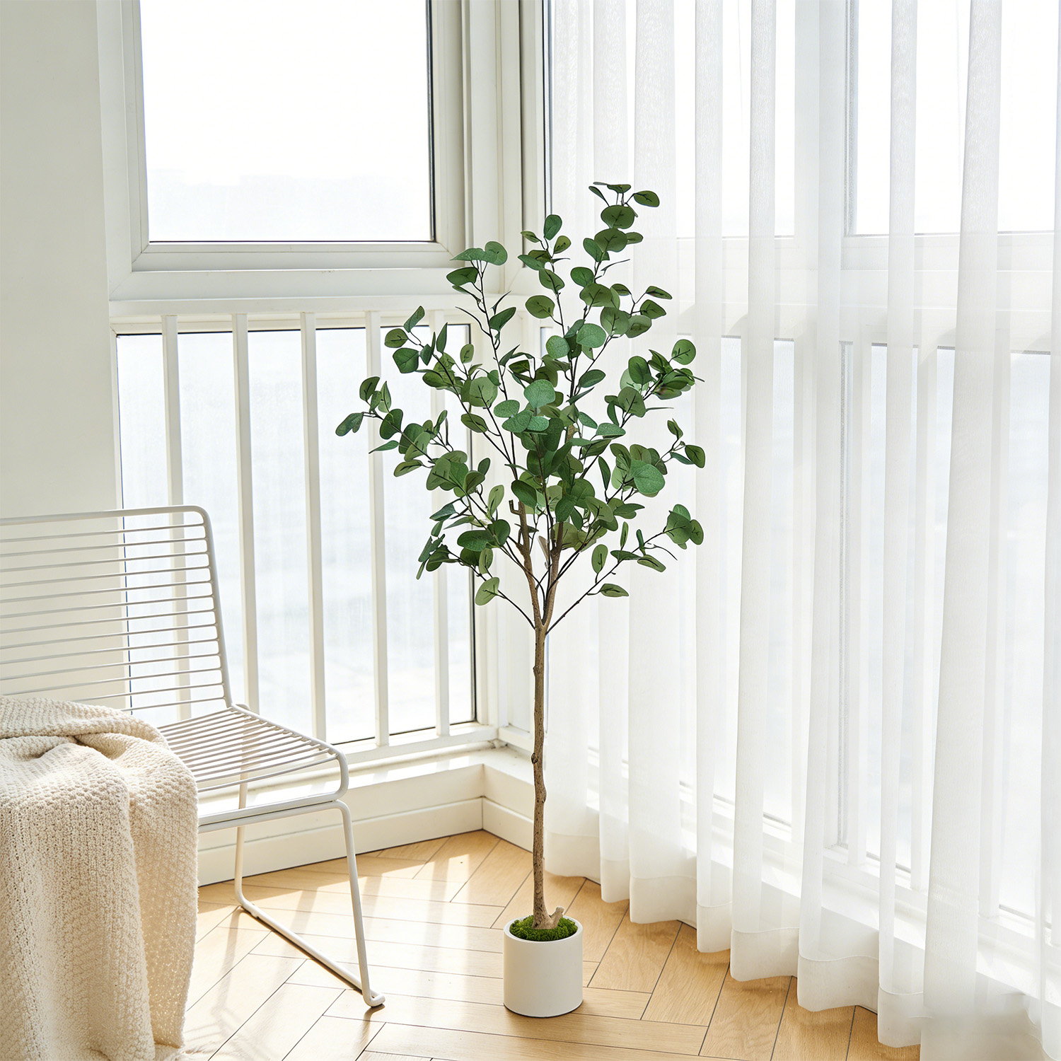 120-155Cm/5.1Ft Artificial Euc - Dracaena Marginata review and price