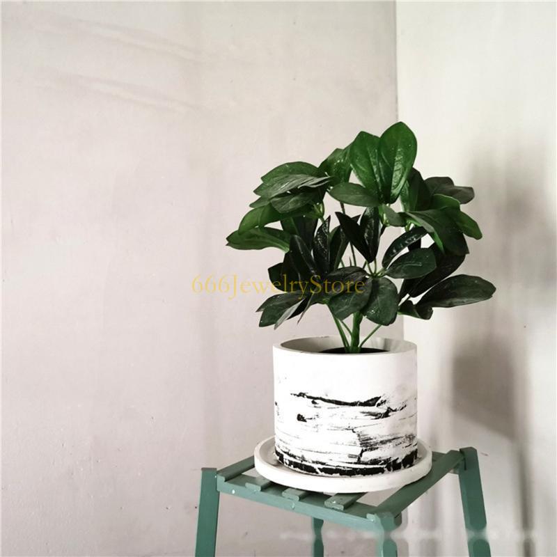 F2TD Large Round Concrete Flow - Echeveria Succulent review and price
