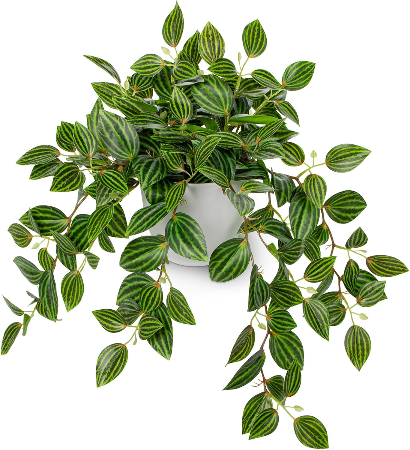 Artificial Plants Indoor Fake  - Peperomia Watermelon review and price