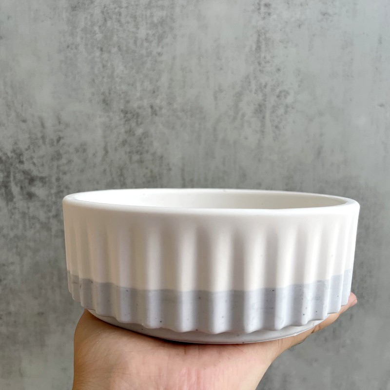 Stripe Flowerpot Silicone Mold - Echeveria Succulent review and price
