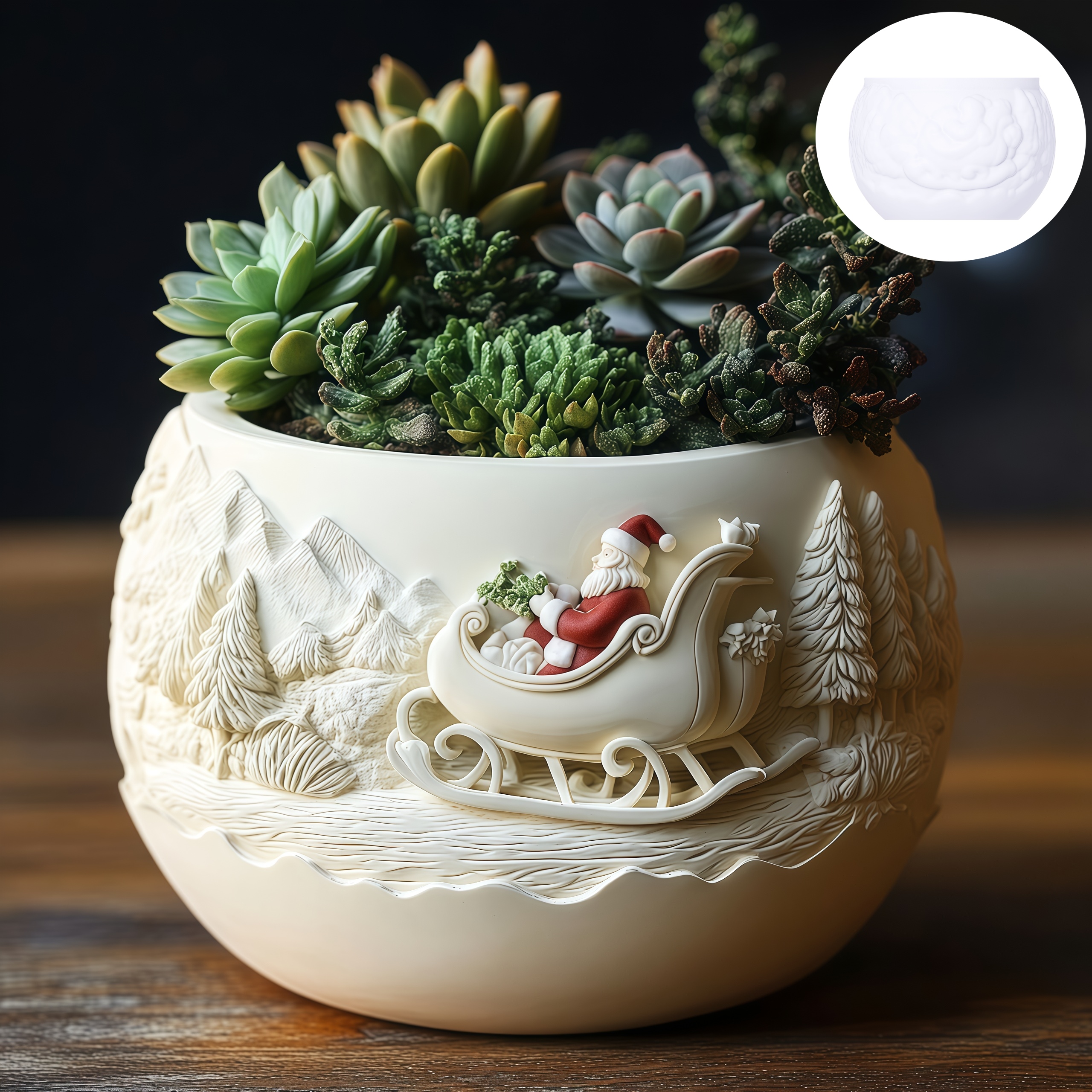 Cedar Sled Santa Claus Relief  - Echeveria Succulent review and price