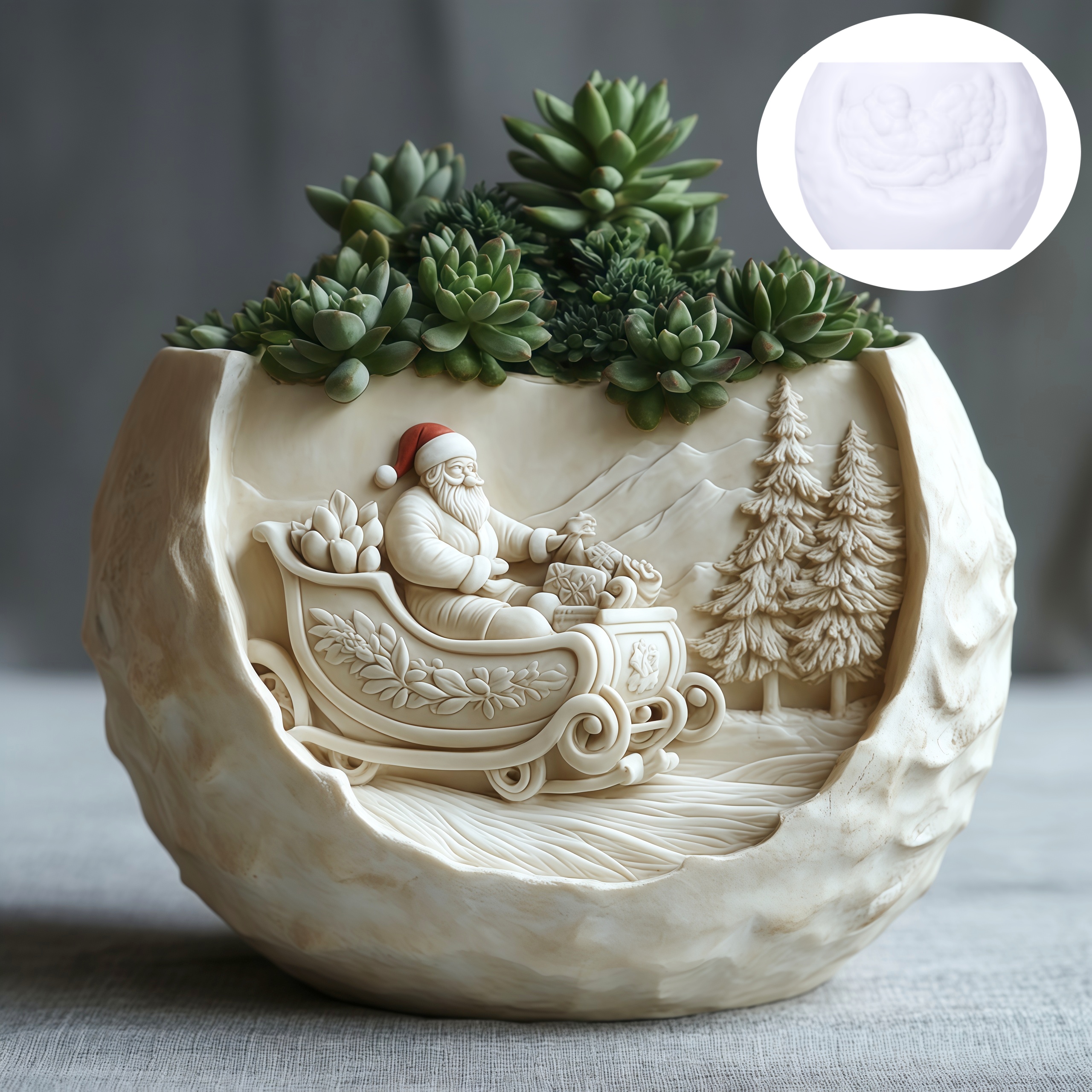Cedar Sled Santa Claus Relief  - Echeveria Succulent review and price
