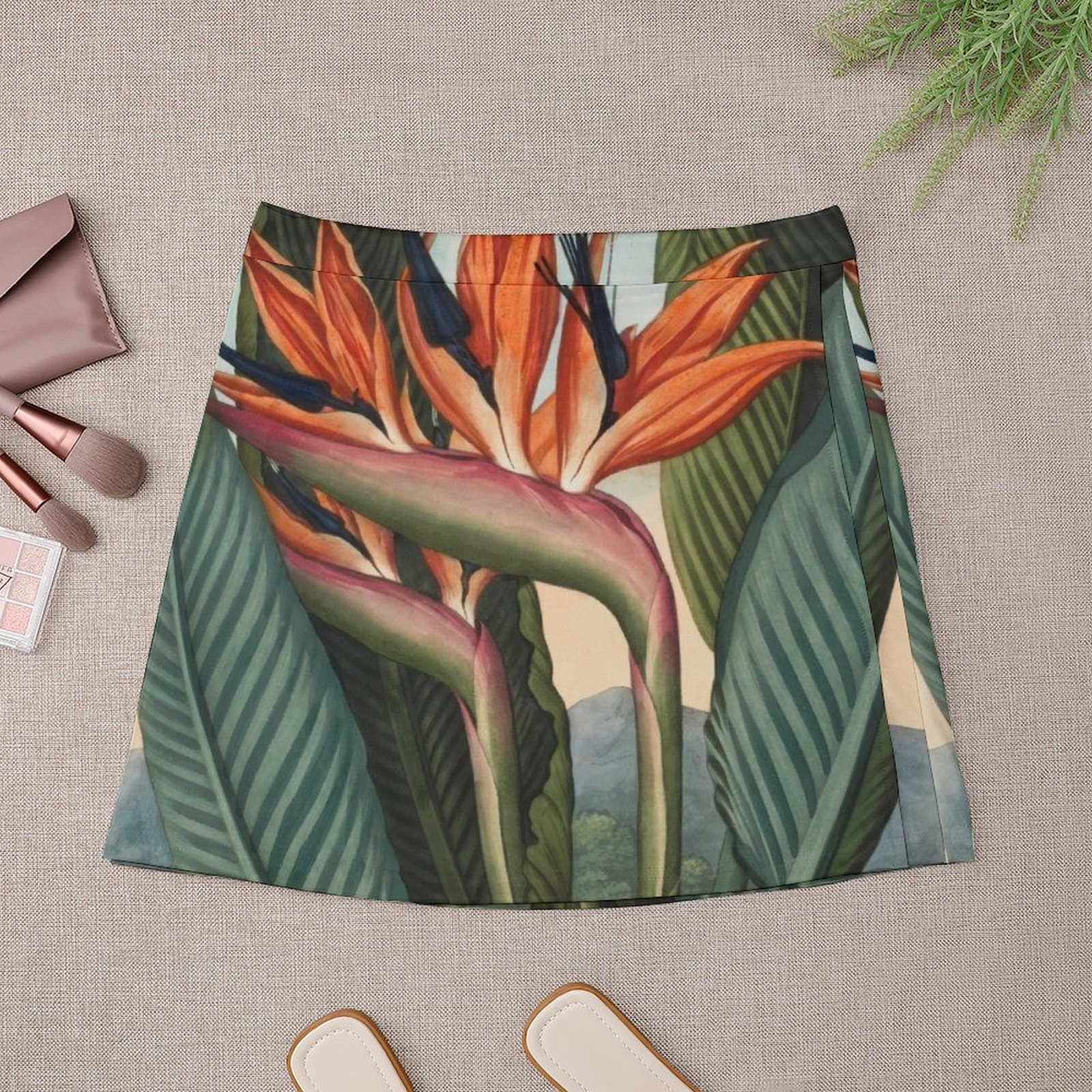 Botanical illustration: Bird o - Bird Paradise Strelitzia review and price