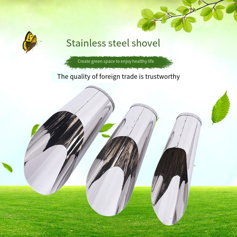 Stainless Steel Bucket Shovel  - Echeveria Succulent review and price