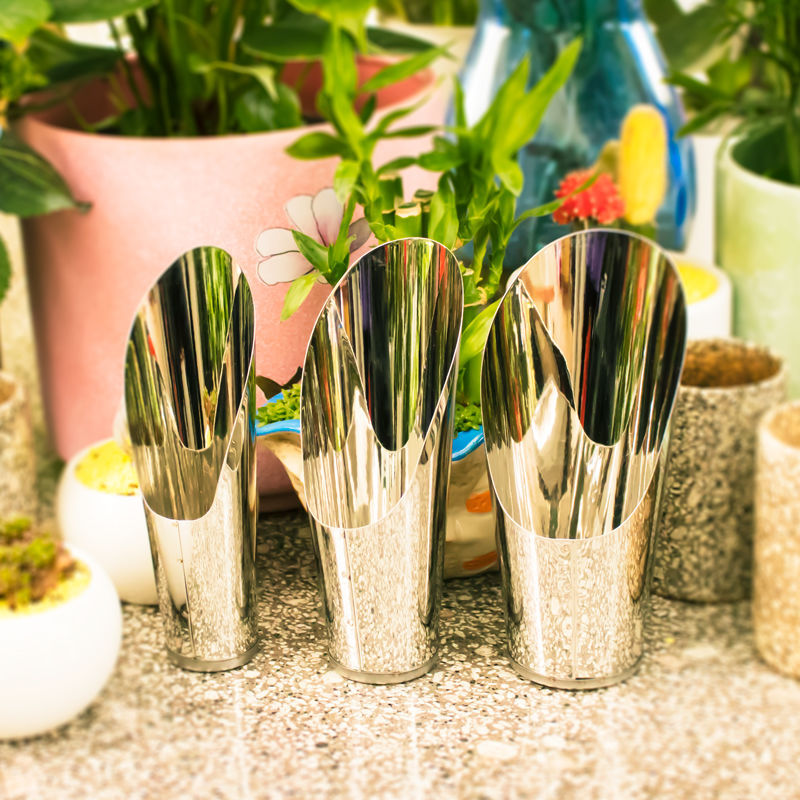 Stainless Steel Bucket Shovel  - Echeveria Succulent review and price