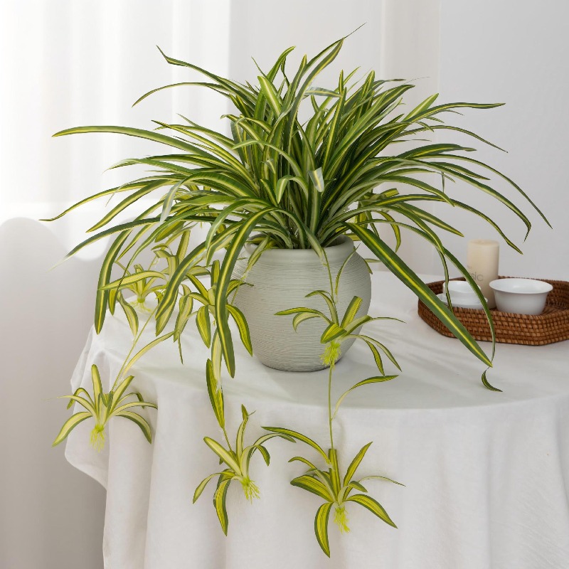 Artificial Spider Plant Chloro - Spider Plant Hanging review and price