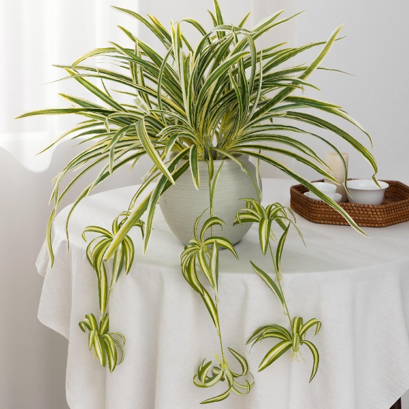 Artificial Spider Plant Chloro - Spider Plant Hanging review and price
