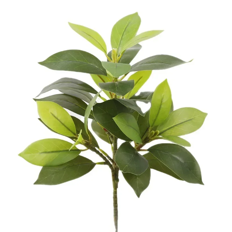 Plastic Artificial Color-chang - Dracaena Marginata review and price