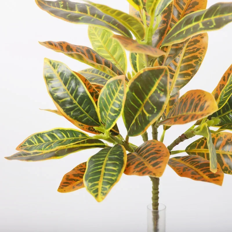 Plastic Artificial Color-chang - Dracaena Marginata review and price
